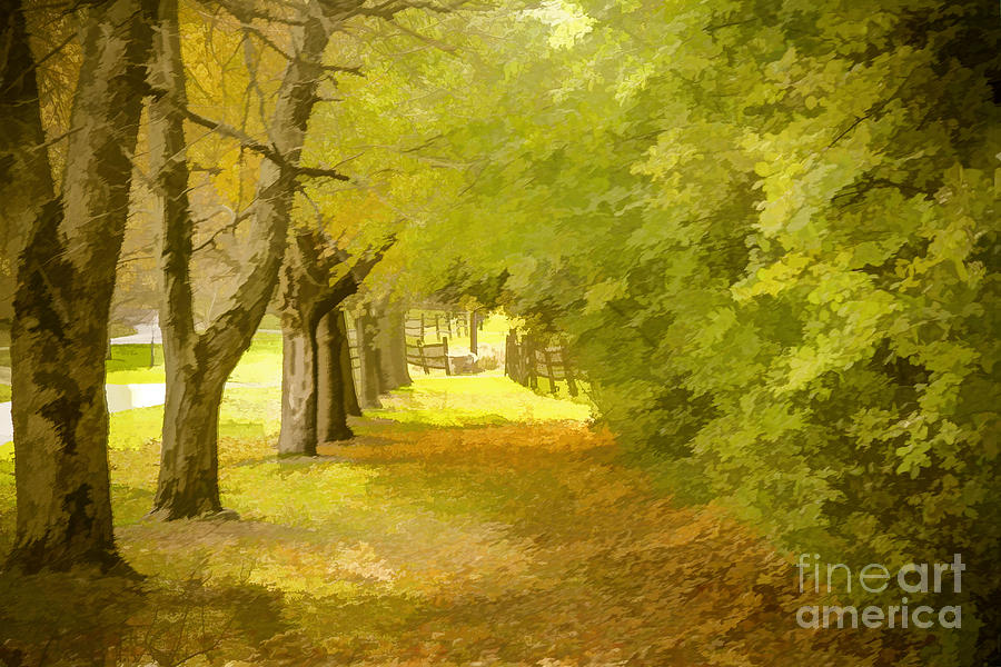 Painterly Pathway Photograph by Jim Lepard