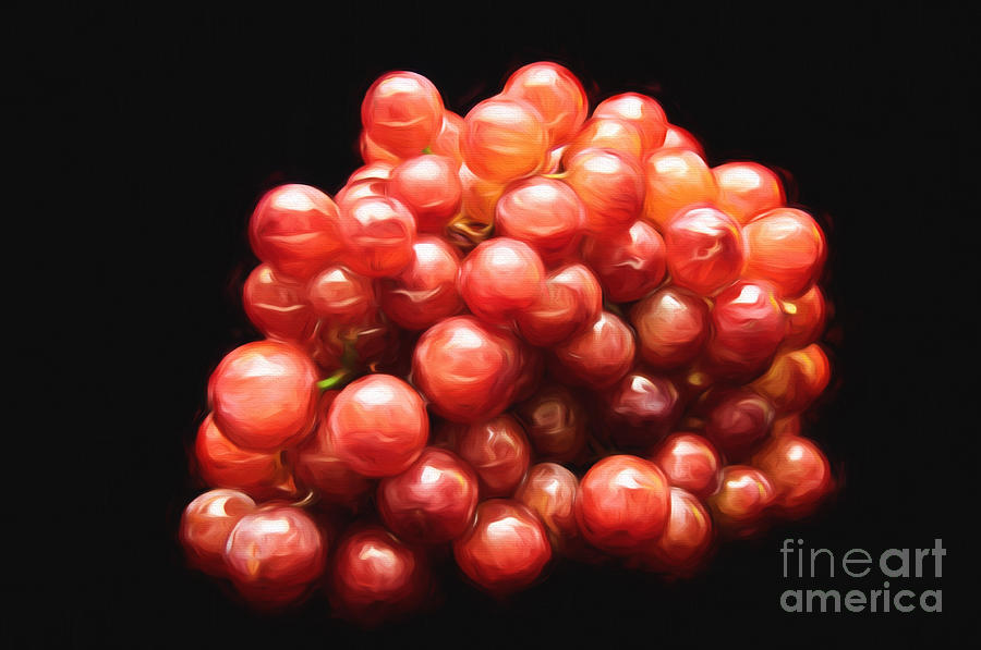 Painterly Red Grapes Mixed Media by Andee Design