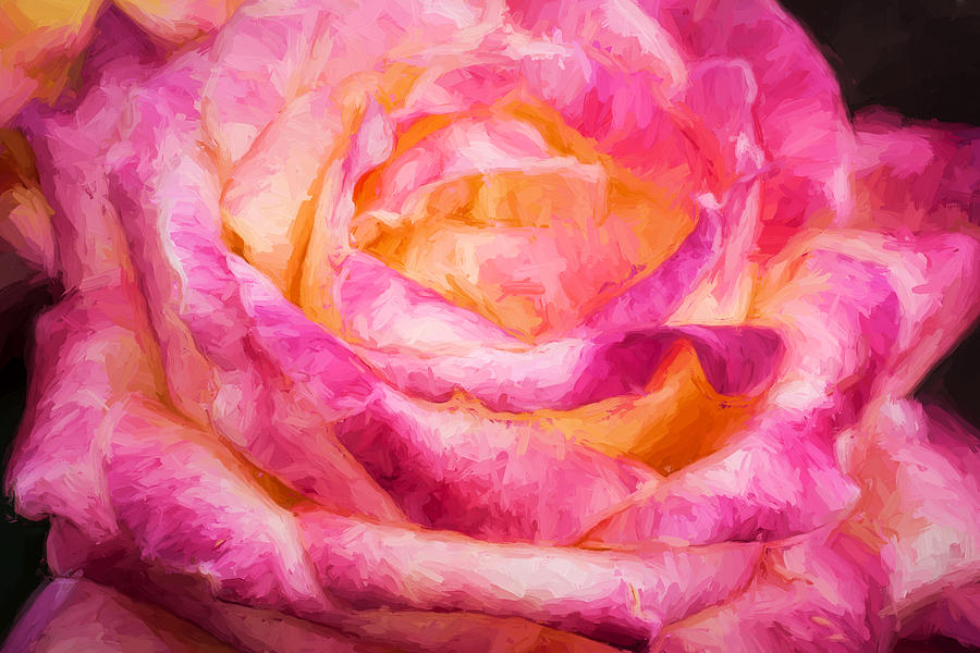 Painterly Rose  Photograph by Rich Franco