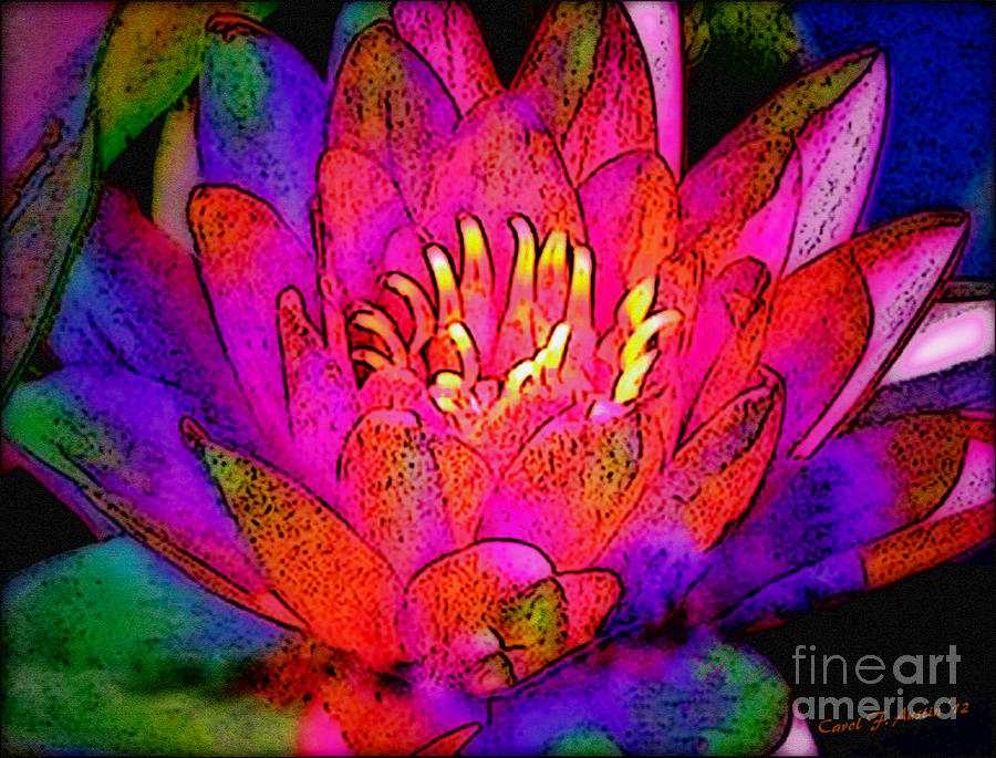 Water Lily Floral  Photograph by Carol F Austin