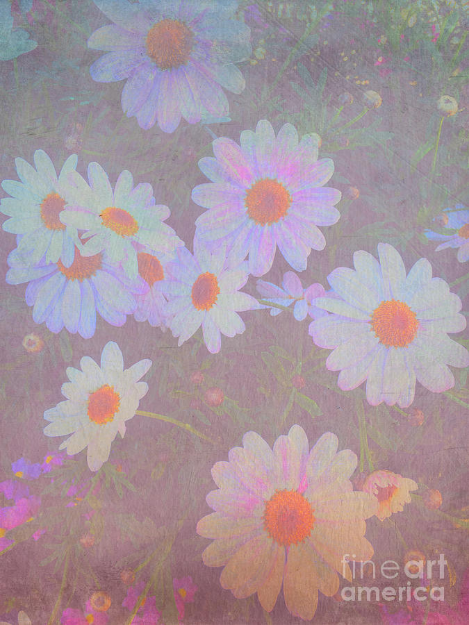 Painterly White Daisies Potted Flowers Photograph by Beverly Claire Kaiya