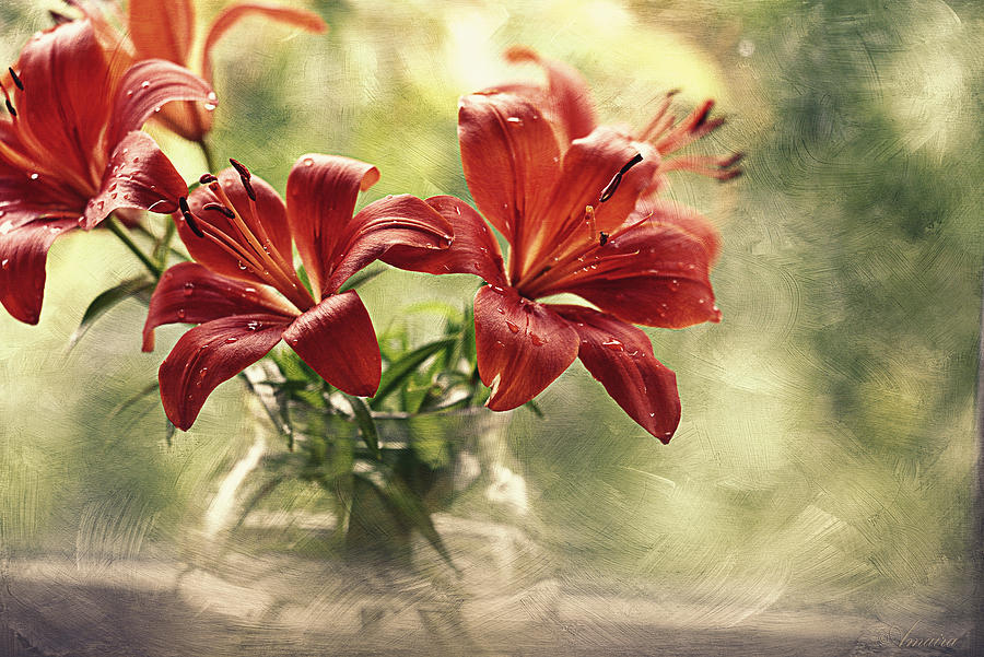 Nature Photograph - Painting Daylilies On My Window by Maria Angelica Maira