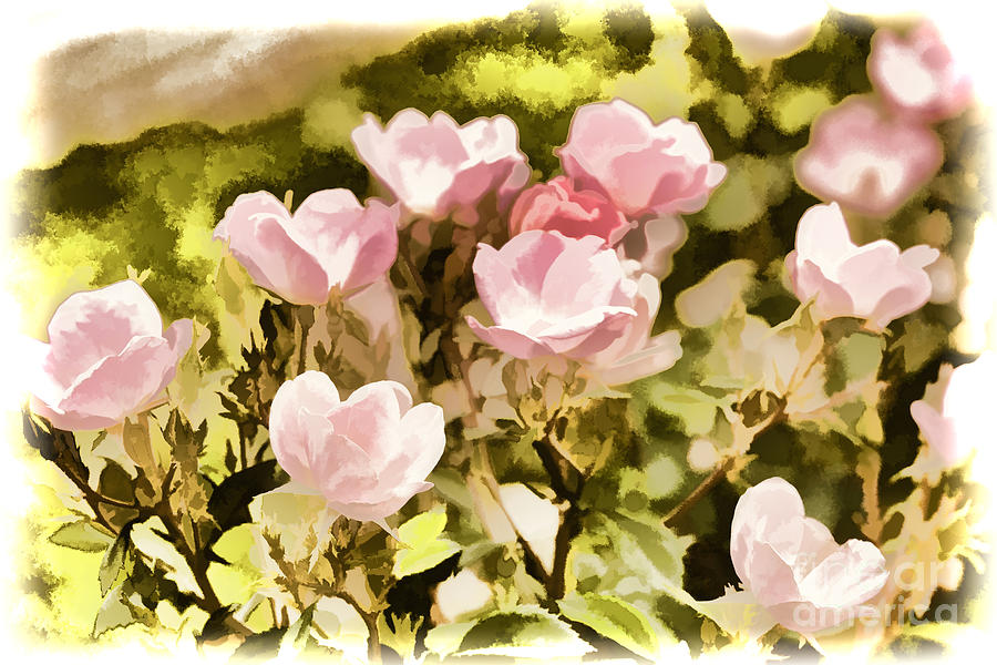Painting of a Pink Rose flower in Color 3222.02 Painting by M K Miller