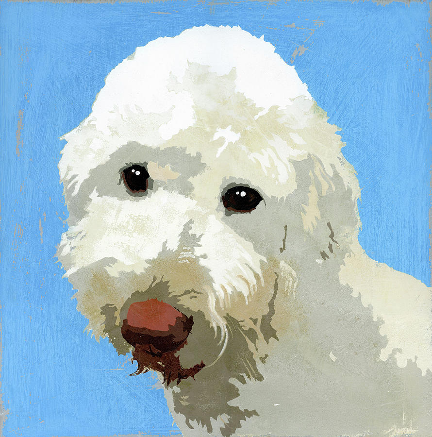 Painting Of Labradoodle Dog Painting by Ikon Ikon Images
