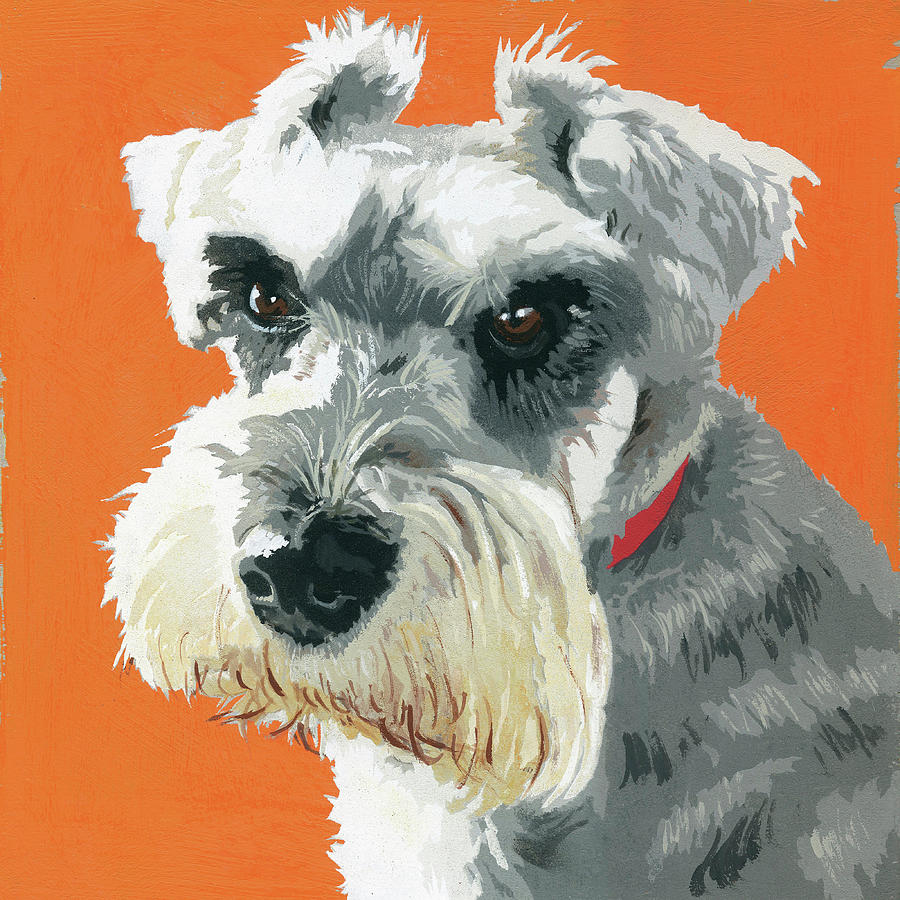 Painting Of Miniature Schnauzer Dog Painting by Ikon Ikon Images