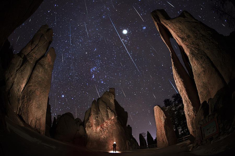 Nature Photograph - Painting The Needles Under The Geminids Meteor Shower by Mike Berenson