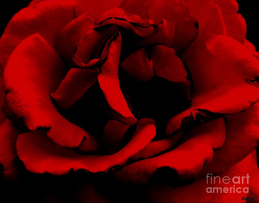 Rose Photograph - Painting the Roses Red by Emily Muzak and Art