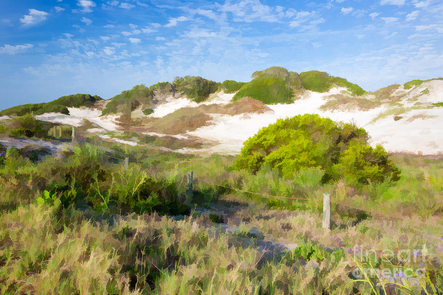 Paintography of NaNa Dunes American Beach Florida Photograph by Dawna Moore Photography
