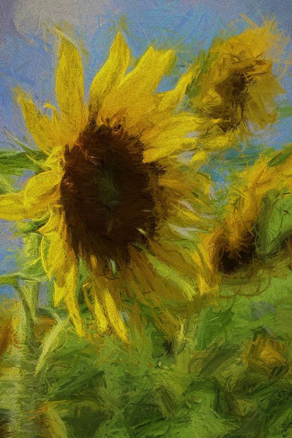 Sunflower Photograph - Painty Sunflower by Cathy Lindsey