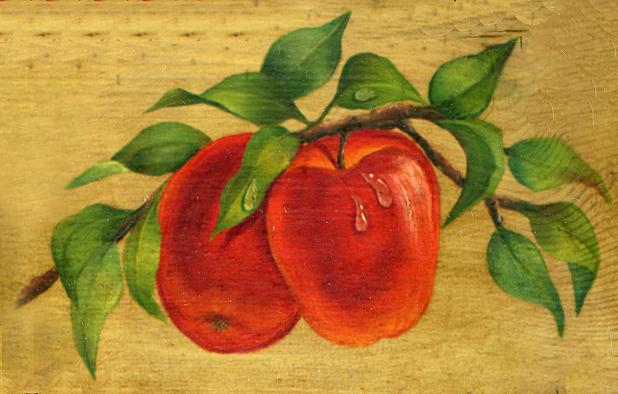Still Life Painting - Pair Of Apples by Doreta Y Boyd