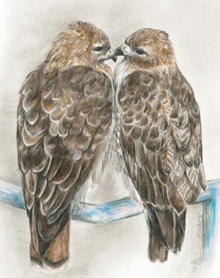 Pair of hawks Drawing by Meagan  Visser