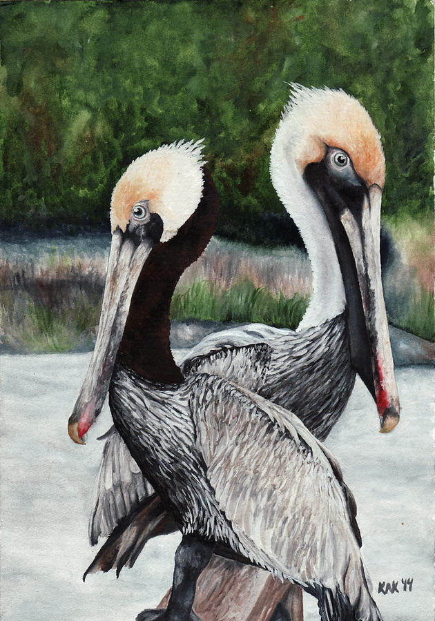 Pair of Pelicans Painting by Katherine Klimitas - Fine Art America