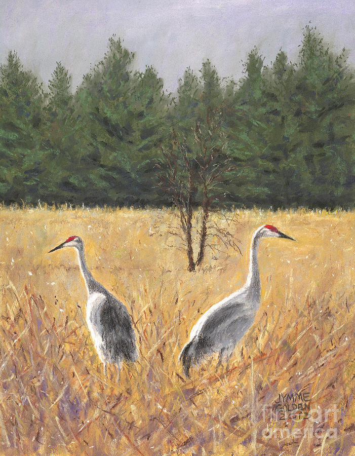 Bird Painting - Pair of Sandhill Cranes by Jymme Golden