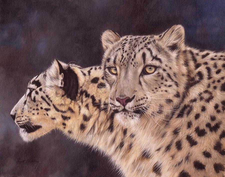 Wildlife Painting - Pair of Snow Leopards by David Stribbling