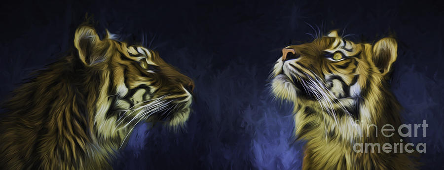 Pair of Sumatran tigers Photograph by Sheila Smart Fine Art Photography