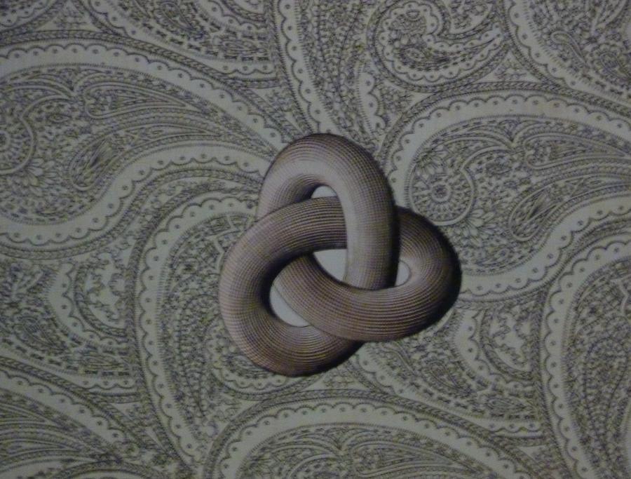 Pattern Mixed Media - Paisley Knot by Douglas Fromm