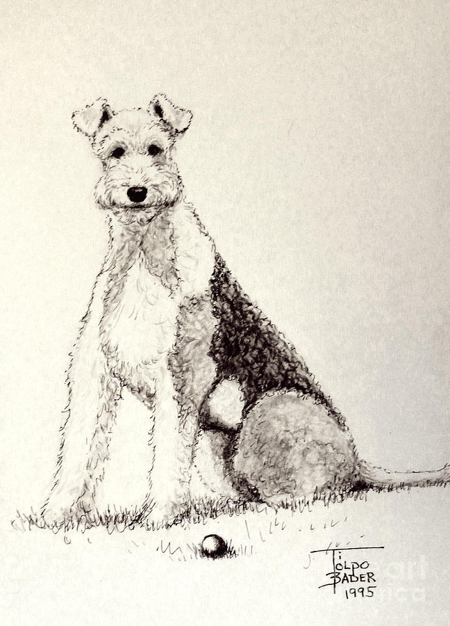Pal the Airedale by Art By - Ti Tolpo Bader Pal the Airedale by Art By - Ti Tolpo Bader