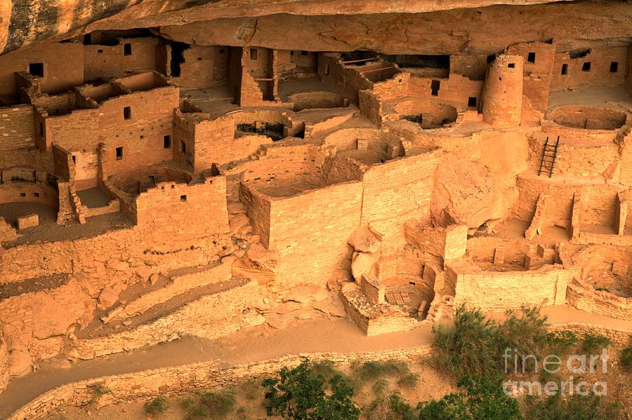 Mesa Verde National Park Photograph - Palace In The Cliff by Adam Jewell