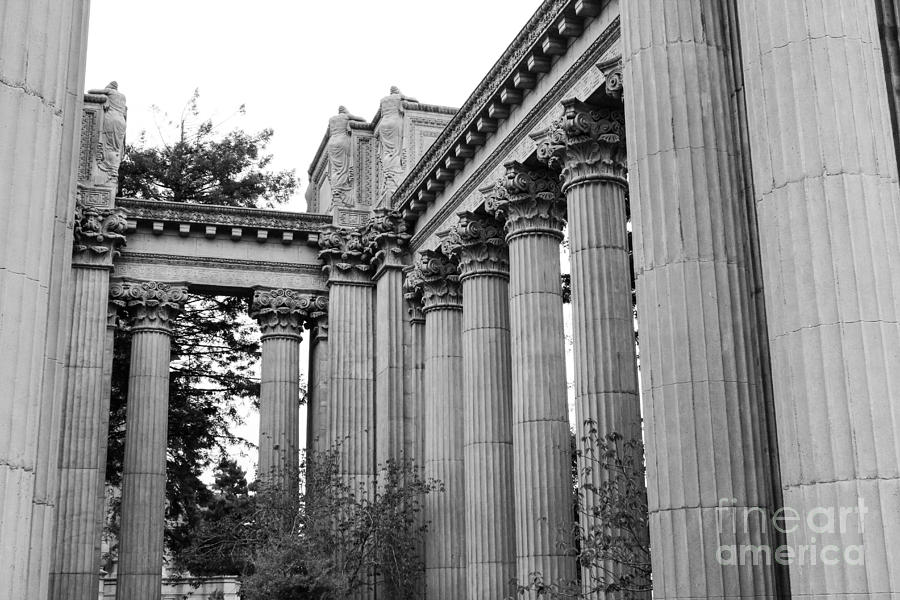 Palace Of Fine Arts Columns BW Photograph by Suzanne Luft