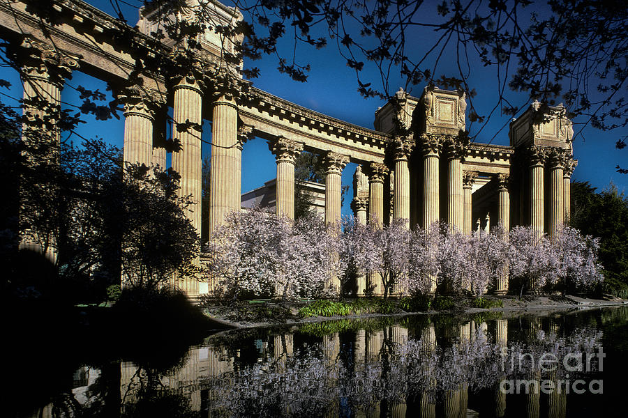 Palace Of Fine Arts Photograph by Ron Sanford