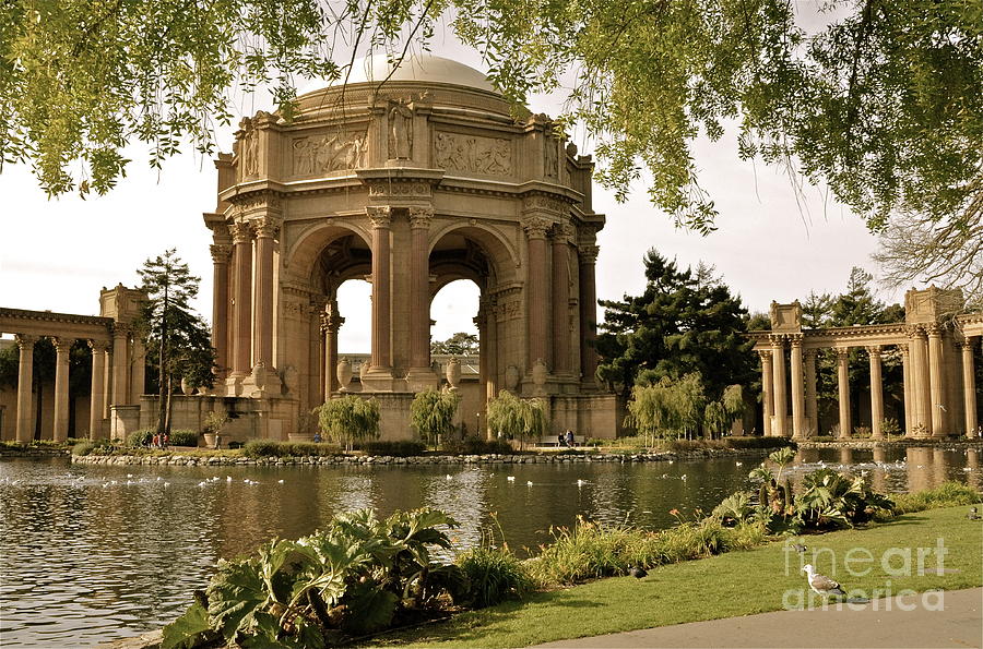 Palace of Fine Arts - S.F. Photograph by Amy Fearn