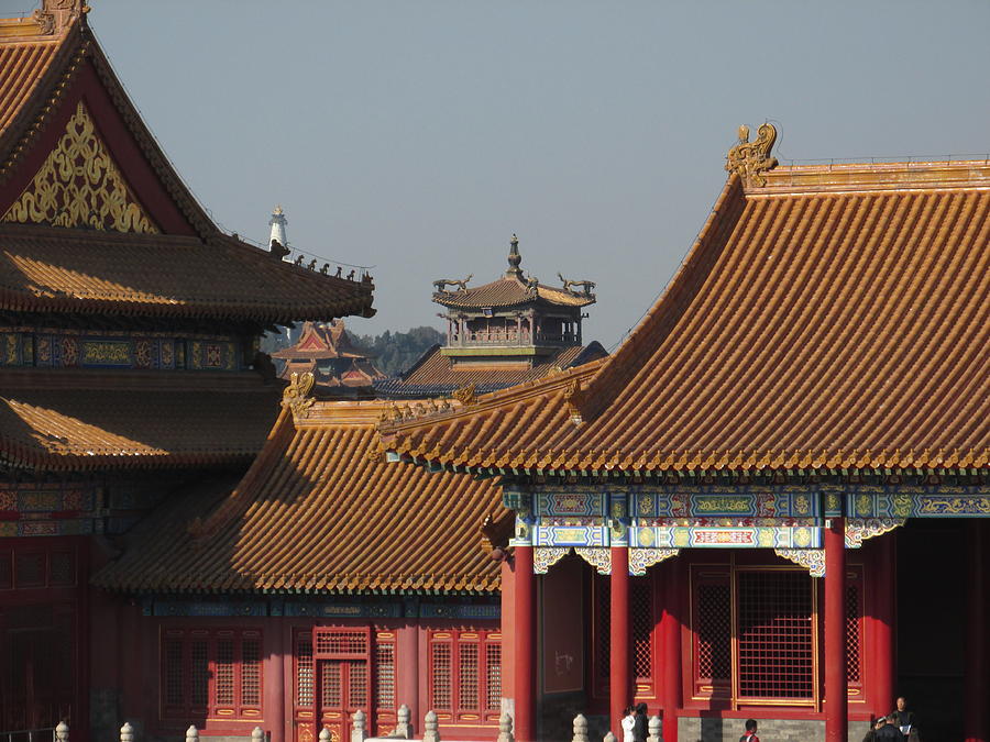 palaces at Forbidden city Photograph by Alfred Ng