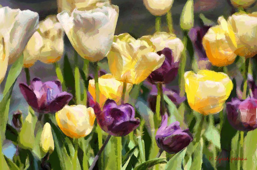 Paladin Tulips Painting by Lynne Jenkins