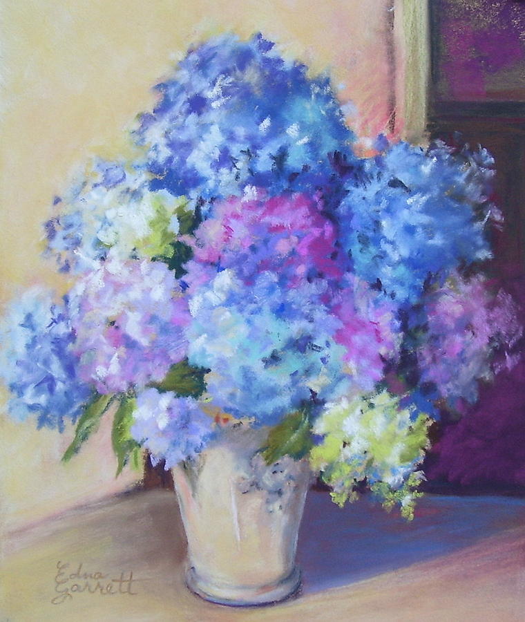 Flower Drawing - Pale Blue Hydrangeas  by Edna Garrett