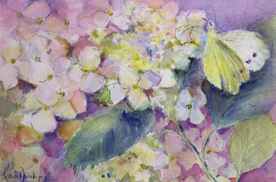 Flower Photograph - Pale Clouded Yellow Butterfly, Colias Hyale On Hydrangea by Karen Armitage