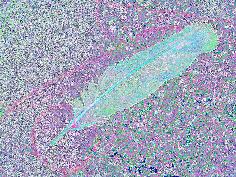 Pale Feather Photograph