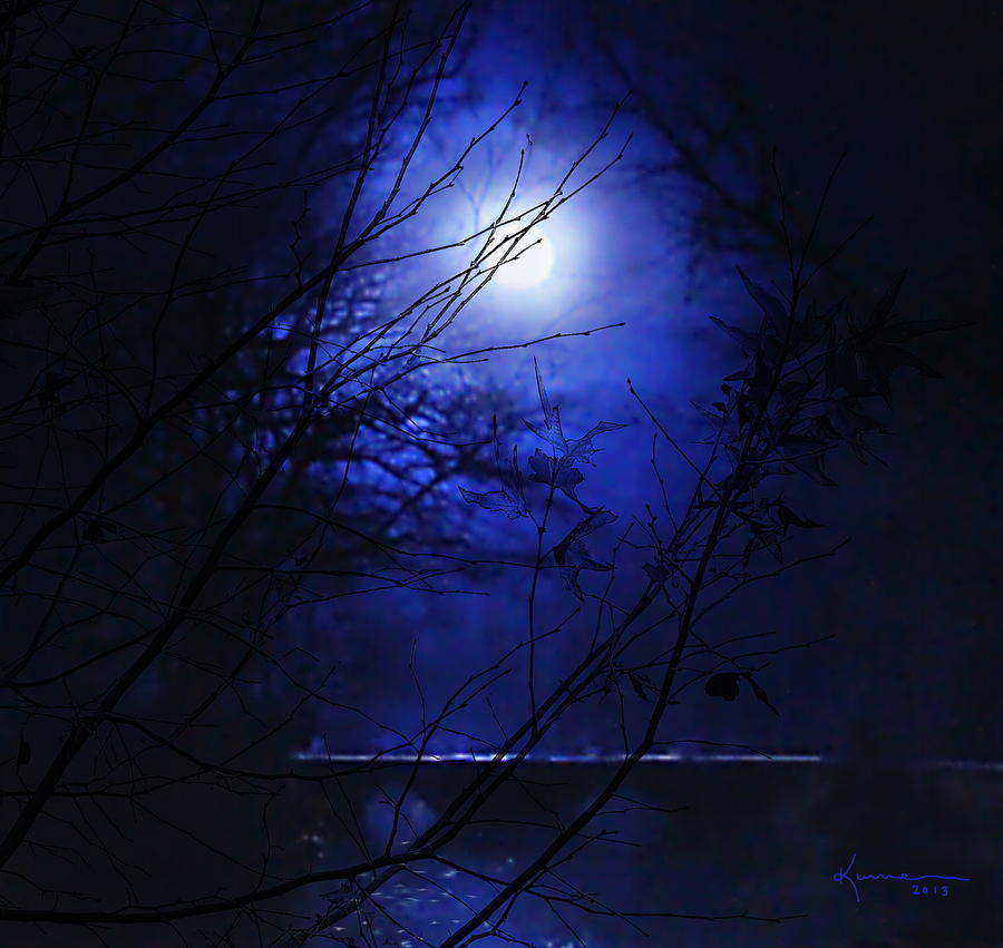 Pale Moon Photograph by Kume Bryant