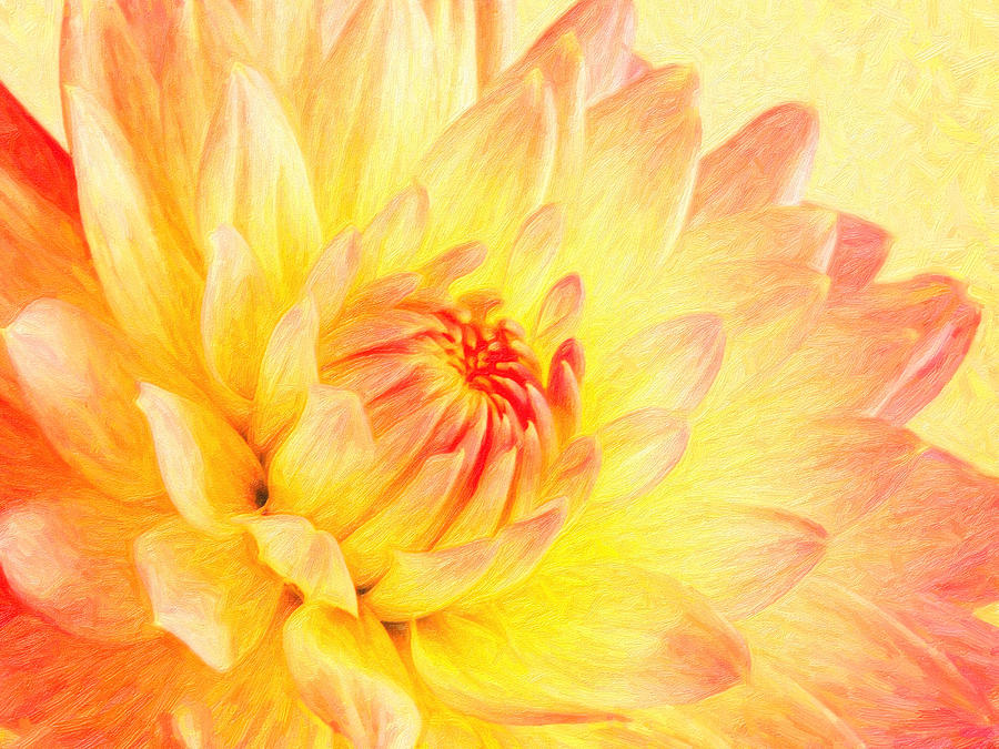 Pale Pink And Yellow Dahlia Painting by MotionAge Designs