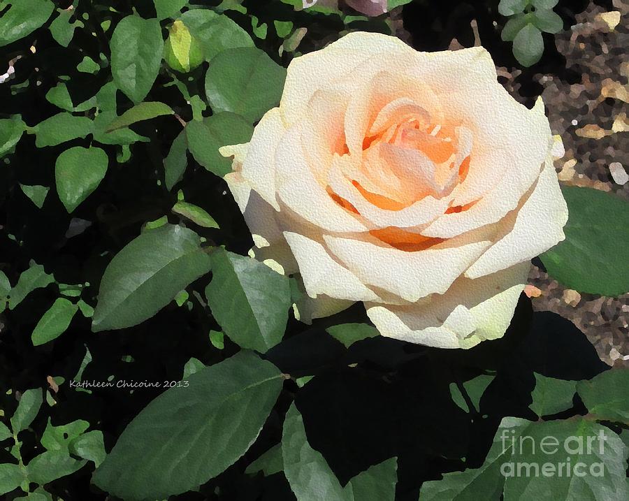 Pale Rose Photograph by Kathie Chicoine