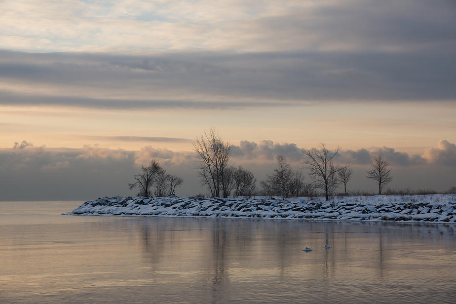 Tree Photograph - Pale Still Morning on Lake Ontario by Georgia Mizuleva