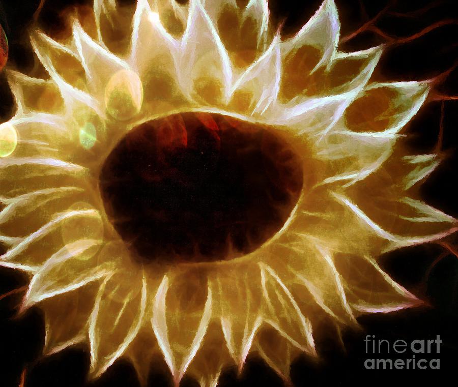 Pale Sunflower with Bokeh Painting by Barbara A Griffin