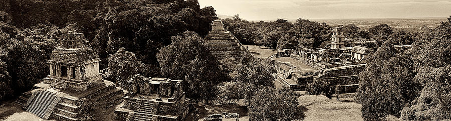 Mayan Photograph - Palenque from the Jungle Panorama sepia by Weston Westmoreland