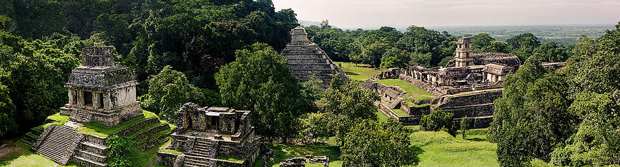 Palenque from the Jungle Panorama Unframed Photograph by Weston Westmoreland