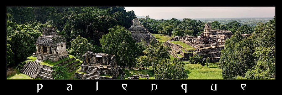 Palenque from the Jungle Panorama Photograph by Weston Westmoreland