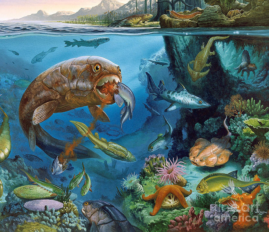 List 101+ Pictures pictures of the paleozoic era Latest