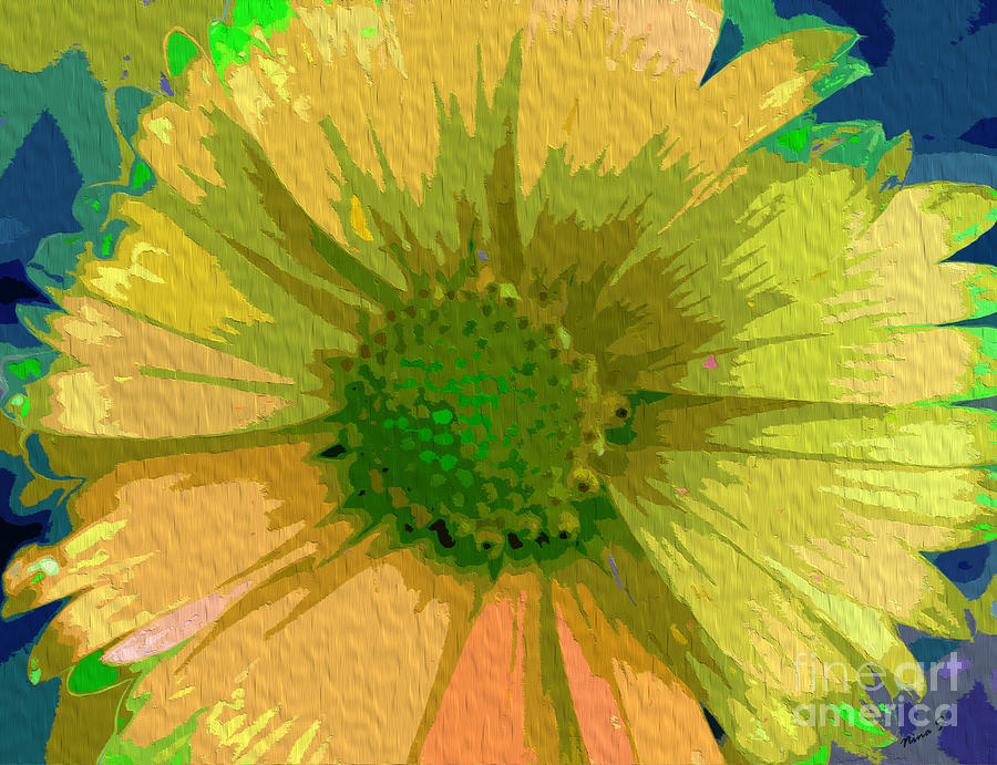Palette Knife Coneflower Photograph by Nina Silver