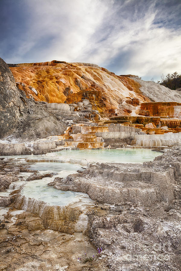 Palette Spring in Yellowstone Photograph by Bryan Mullennix