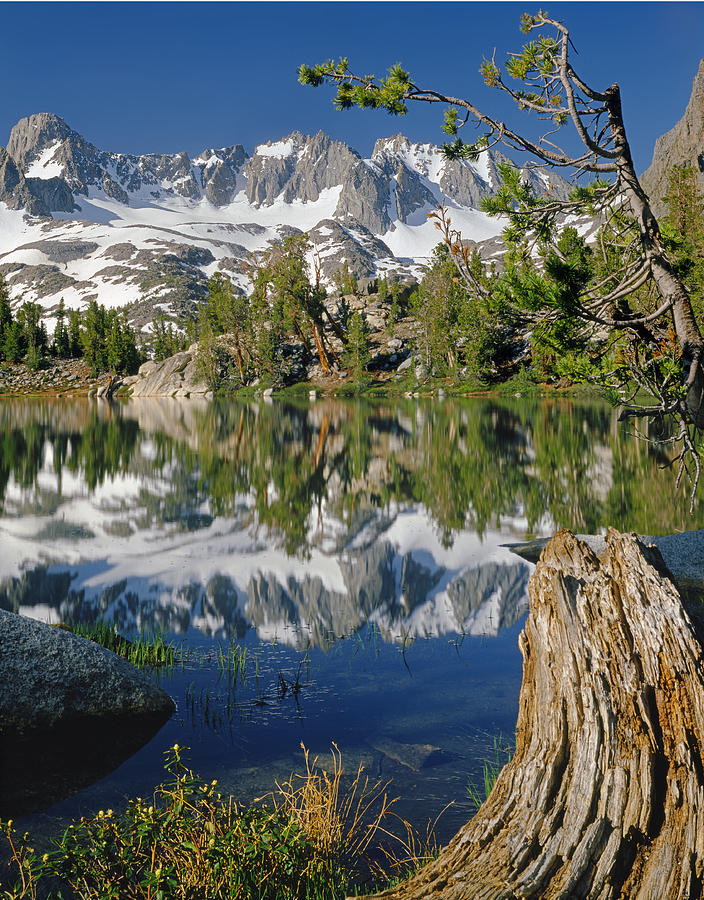 2M6443-V-Palisade Peaks and Summit Lake V Photograph by Ed  Cooper Photography