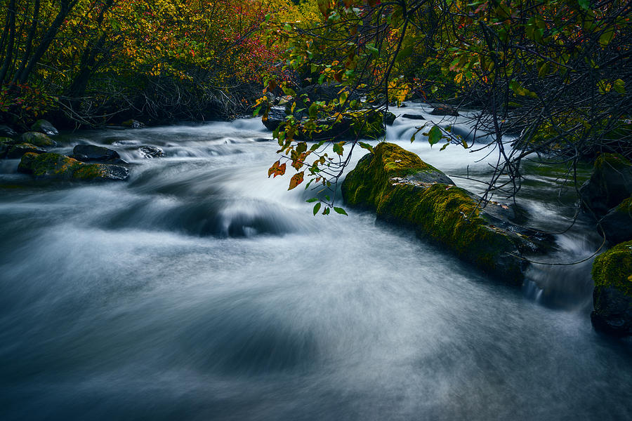 Fall Photograph - Palisades Creek Idaho in Fall by Vishwanath Bhat