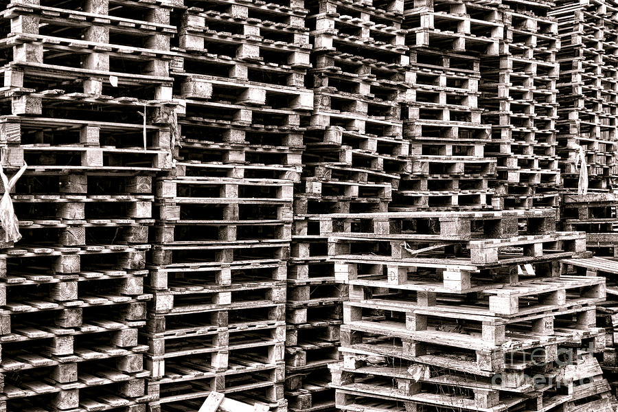 Pallets  Photograph by Olivier Le Queinec