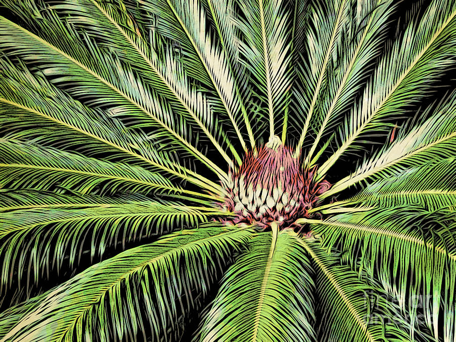 Palm 3 Photograph by Jacklyn Duryea Fraizer