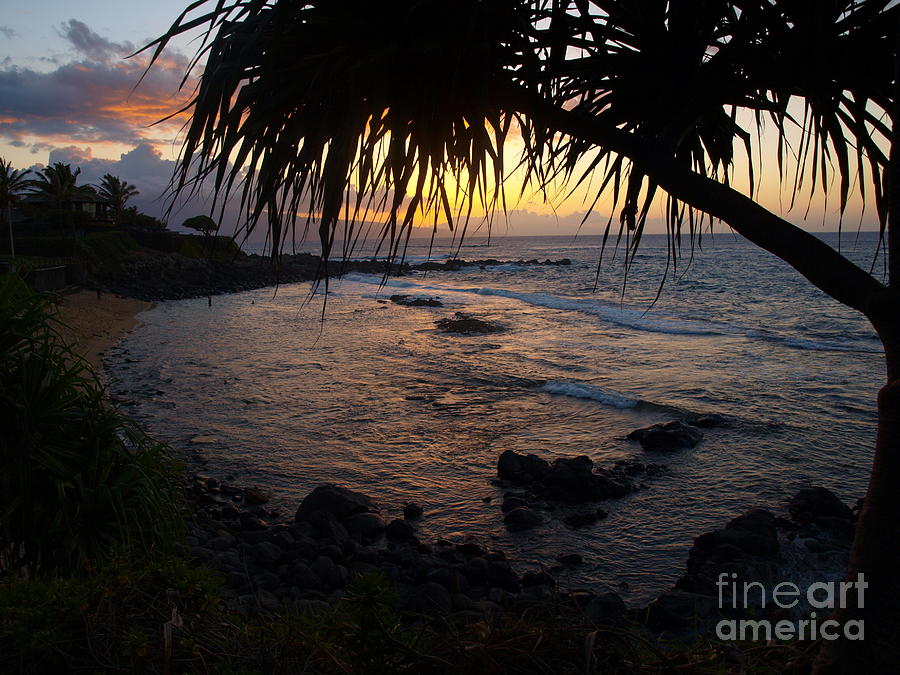 Palm Bay Photograph by Vivian Martin