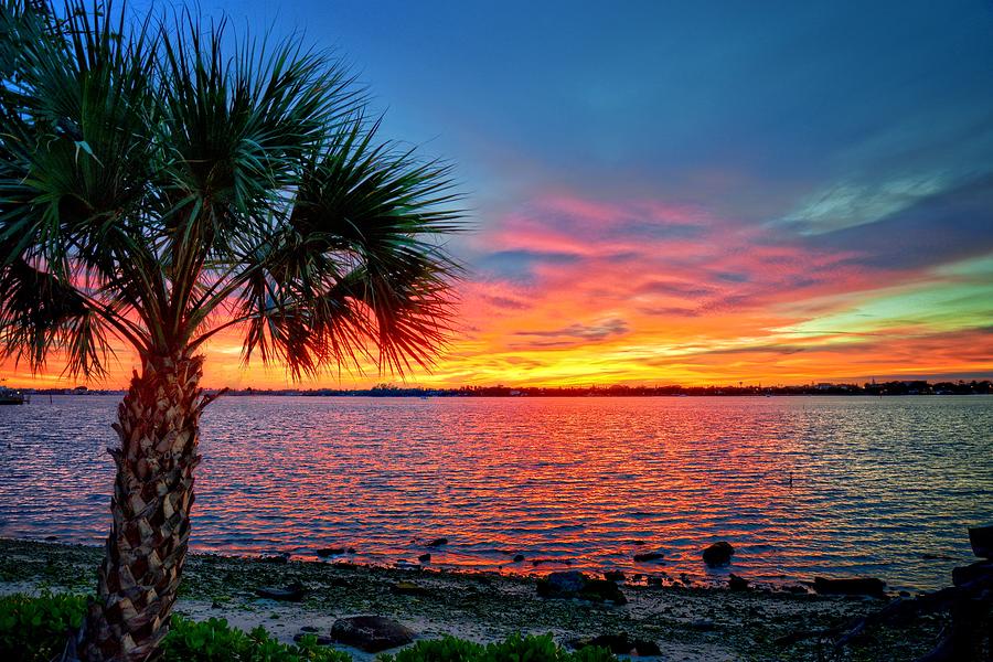 Palm Beach Sunset Photograph by Lynn Bauer