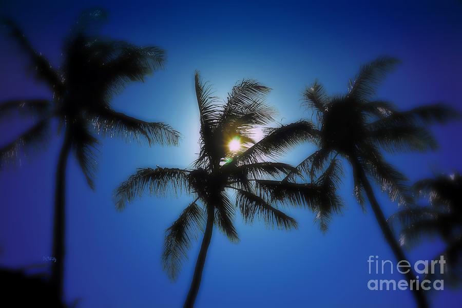 Palm Breeze Photograph by Patrick Witz