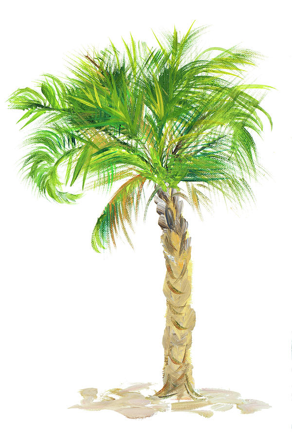 Palm Days Viii Digital Art By Julie Derice - Fine Art America