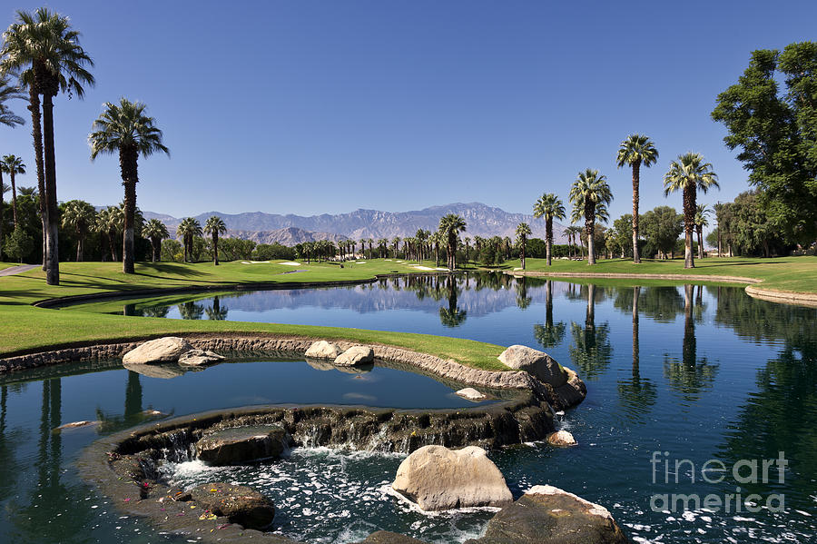 Golf Photograph - Palm Desert Golf Course Landscape by Sheldon Kralstein